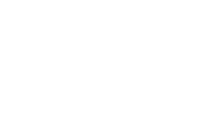 Department of Transport Freight Innovation Grant